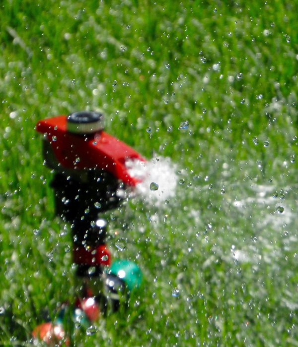 Sprinkler System Installation